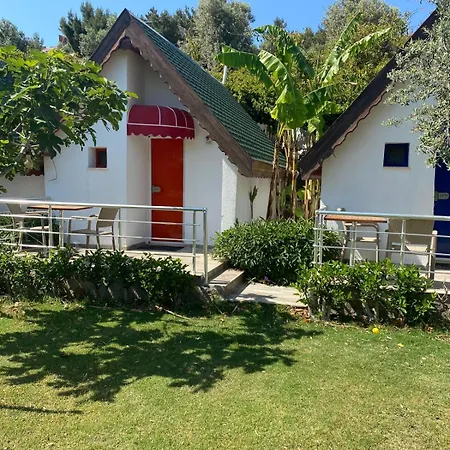 For You35 * Karaburun (Izmir)