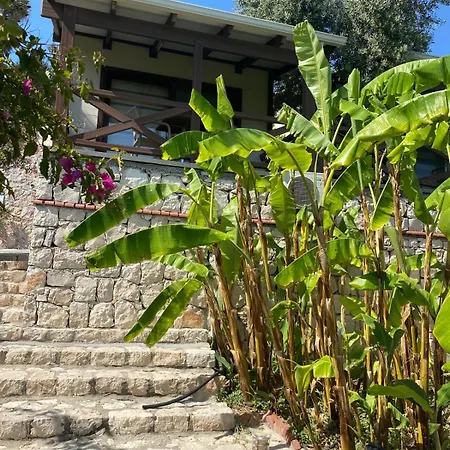 For You35 * Karaburun (Izmir)