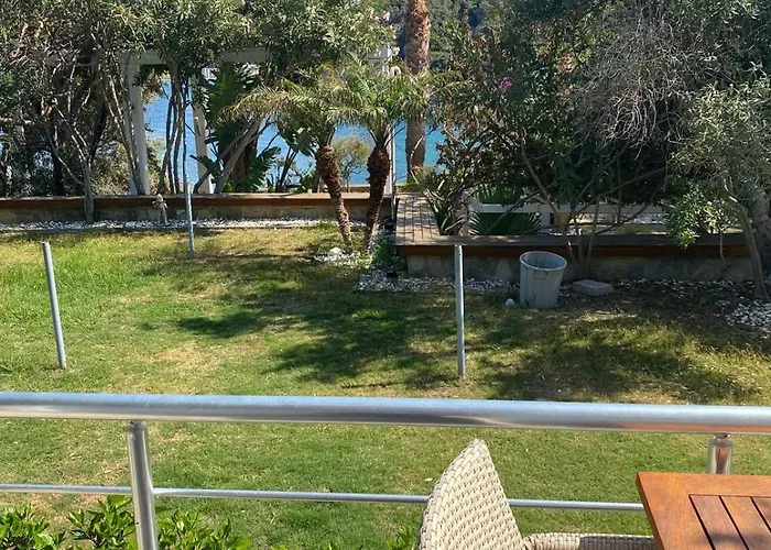 For You35 קרבורון