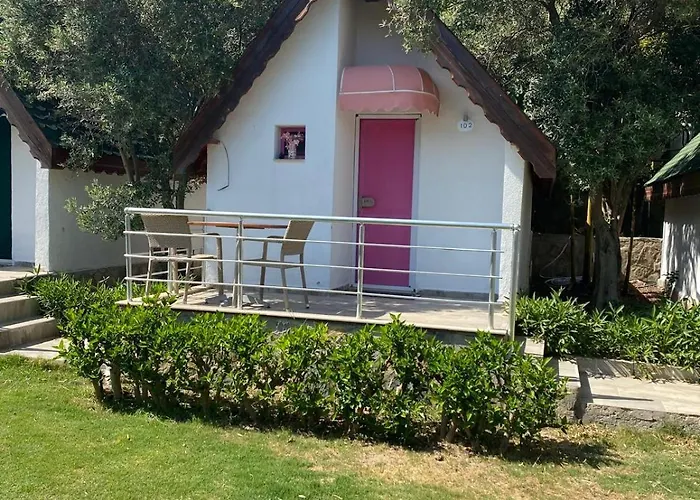 For You35 קרבורון