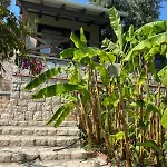 For You35 * Karaburun (Izmir)